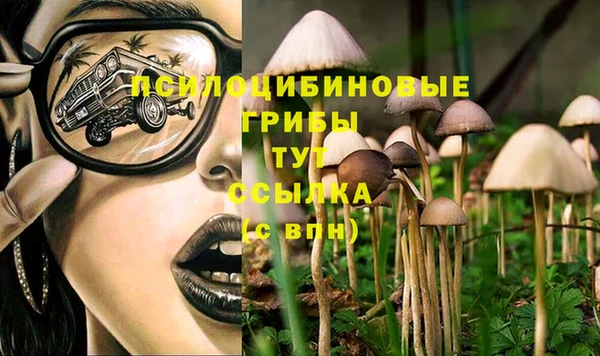 меф Богородицк