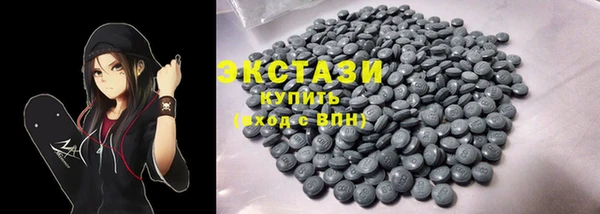 ECSTASY Бородино