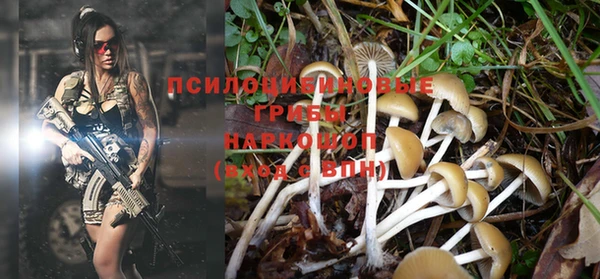 синтетический гашиш Богданович