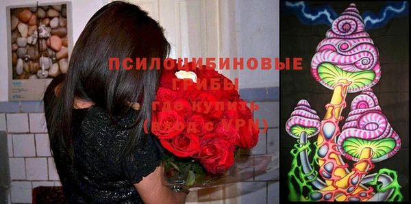синтетический гашиш Богданович
