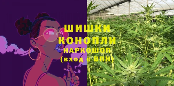 ECSTASY Богородск