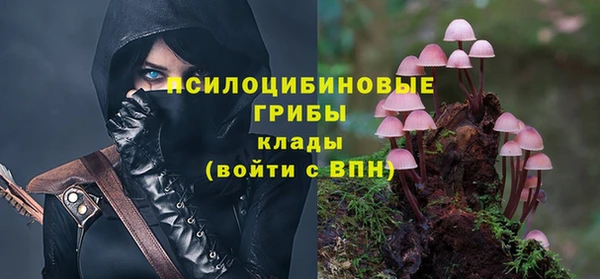 меф Богородицк