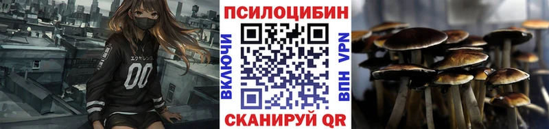 Псилоцибиновые грибы Magic Shrooms  Кондрово 