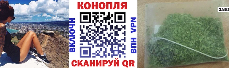 купить наркотики цена  Кондрово  Шишки марихуана MAZAR 